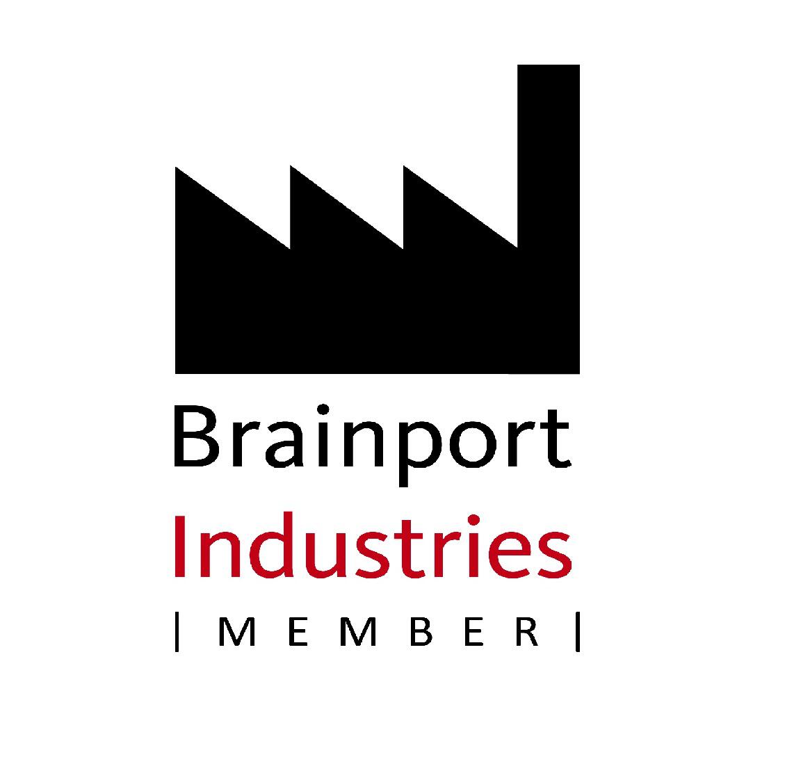 Brainport-Industries-klein-1.jpg