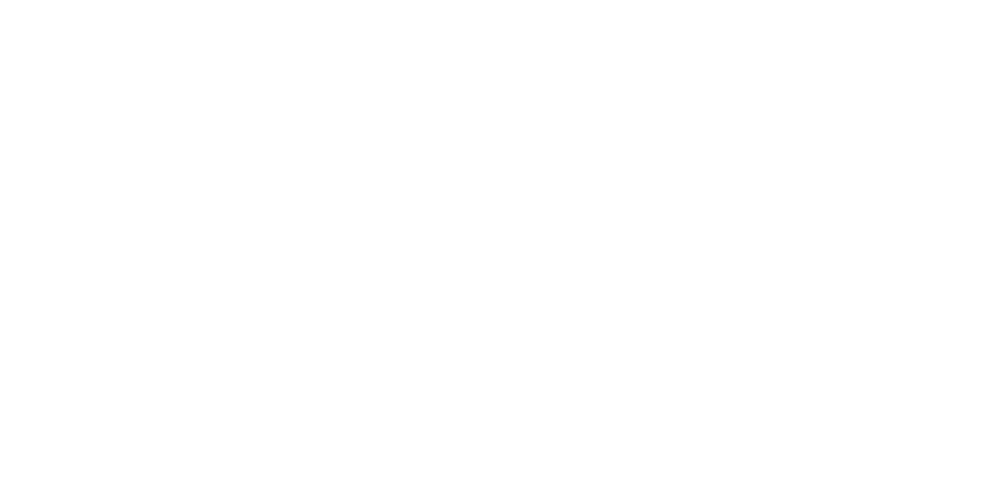 Logo Academy-wit.png